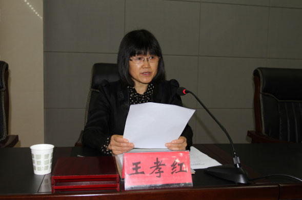 高德王孝紅丨全力打造功能性瓷磚第一品牌，賦能現代健康生活