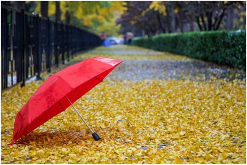 “中國十大品牌”貝洛特門窗 締造一門一窗的精致