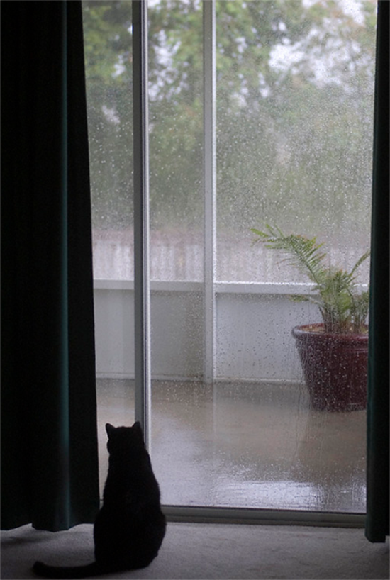 設計門窗質量怎么驗收?