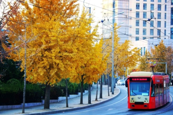 鑫中哲門窗：打造秋天的美好空間，領略秋季的無限生動