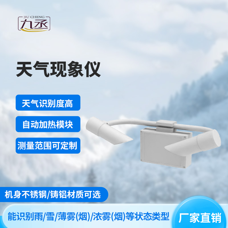 天氣現象檢測器